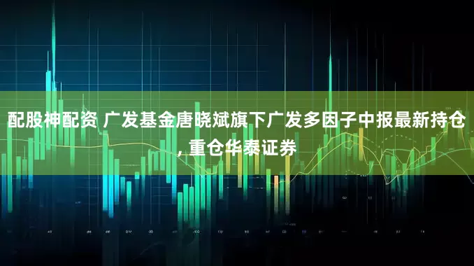 配股神配资 广发基金唐晓斌旗下广发多因子中报最新持仓, 重仓华泰证券