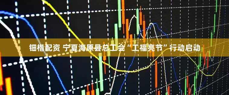 钿楷配资 宁夏海原县总工会“工福亮节”行动启动